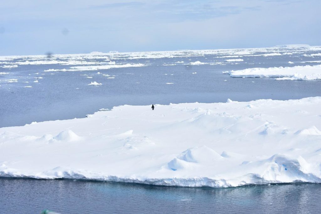 New NCPOR study attempts to resolve the Mystery of extremely low sea ice cover in Antarctic